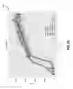 Fig. 07 - PRE-TRAINING NEURAL NETWORKS WITH HUMAN DEMONSTRATIONS FOR DEEP REINFORCEMENT LEARNING