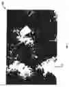 Fig. 08 - Method, medium, and system for detecting potato virus in a crop image