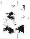 Fig. 09 - Method, medium, and system for detecting potato virus in a crop image