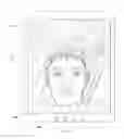 Fig. 08 - Object oriented image editing