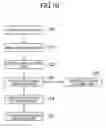 Fig. 11 - Image processing device, image processing method, and program