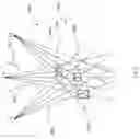 Fig. 10 - Structured light matching of a set of curves from three cameras