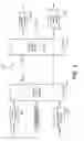 Fig. 04 - Selective mapping of coded multi-channel transmission