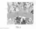 Fig. 04 - Chip electronic component and method of manufacturing the same