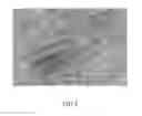 Fig. 06 - Transmission electron microscope micro-grid and method for making the same