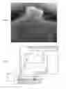 Fig. 02 - Systems and methods for copper (I) suppression in electrochemical deposition