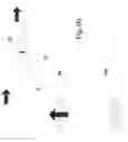 Fig. 07 - Delivery roll and method for manufacturing thereof