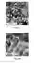 Fig. 02 - Silanized ITO electrode with ITO nanoparticles for aqueous sulfide detection