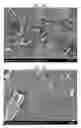 Fig. 07 - Filling material, resin composition, package, and light-emitting device