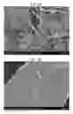 Fig. 09 - Filling material, resin composition, package, and light-emitting device