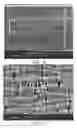 Fig. 08 - Low electrical resistance microporous battery separator membranes, separators, cells, batteries, and related methods