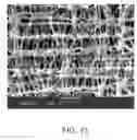 Fig. 09 - Low electrical resistance microporous battery separator membranes, separators, cells, batteries, and related methods