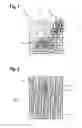 Fig. 02 - Method for producing a current collector for a fuel cell, and fuel cell