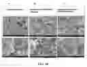 Fig. 10 - Fluoro-substituted ethers and compositions