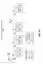 Fig. 08 - Memory device including integrated deterministic pattern recognition circuitry