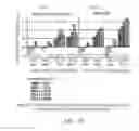 Fig. 12 - Method and system for automated text anonymization