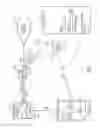 Fig. 06 - Methods, systems, devices, and products for web services