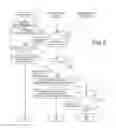 Fig. 08 - MANAGEMENT SERVER, IMAGE FORMING SYSTEM AND MANAGEMENT METHOD FOR MANAGING PLURAL IMAGE FORMING APPARATUSES VIA NETWORK