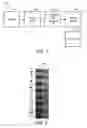 Fig. 02 - Color calibration