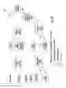 Fig. 14 - Digital domain content processing and distribution apparatus and methods