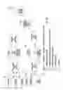 Fig. 15 - Digital domain content processing and distribution apparatus and methods