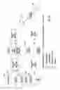 Fig. 16 - Digital domain content processing and distribution apparatus and methods