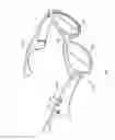 Fig. 08 - Eyeglass headphones