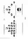 Fig. 05 - Scalable unified audio renderer