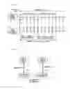 Fig. 05 - Wireless system, wireless device, non-transitory computer-readable storage medium having stored therein communication program, and communication method