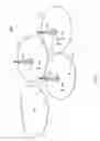 Fig. 02 - Resolving hidden and exposed node problems using coordinated sensing