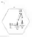 Fig. 01 - Bearer split or fast switch capability indicator