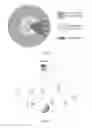 Fig. 02 - Communication method, and communications apparatus and system