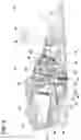 Fig. 05 - Hedge trimmer