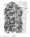 Fig. 09 - Vertical growing system