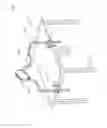 Fig. 03 - Animal Safety Constraint System
