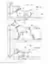 Fig. 06 - Animal Safety Constraint System