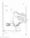 Fig. 07 - Animal Safety Constraint System