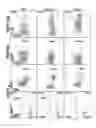 Fig. 03 - Construction Method for Immunodeficient Rat Model