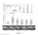 Fig. 19 - Spectrally selective textile for passive radiative outdoor personal cooling
