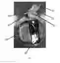 Fig. 07 - Bag with Removable Pouch