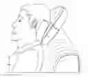 Fig. 01 - Neck Support