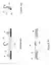 Fig. 03 - GARMENT DRYING APPARATUS AND METHOD