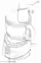 Fig. 01 - Feed chute for a food processor
