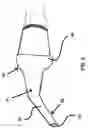 Fig. 03 - Vacuum Hose Attachment Apparatus