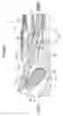 Fig. 09 - Endoscope