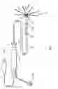 Fig. 02 - Catheter with staggered electrodes spine assembly