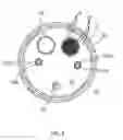 Fig. 03 - Catheter with staggered electrodes spine assembly
