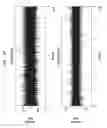 Fig. 11 - DETECTING RESPIRATION RATE