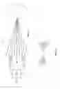 Fig. 18 - Scanned laser vein contrast enhancer utilizing surface topology