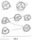 Fig. 04 - Devices and methods for a totally percutaneous collapsible aortic punch